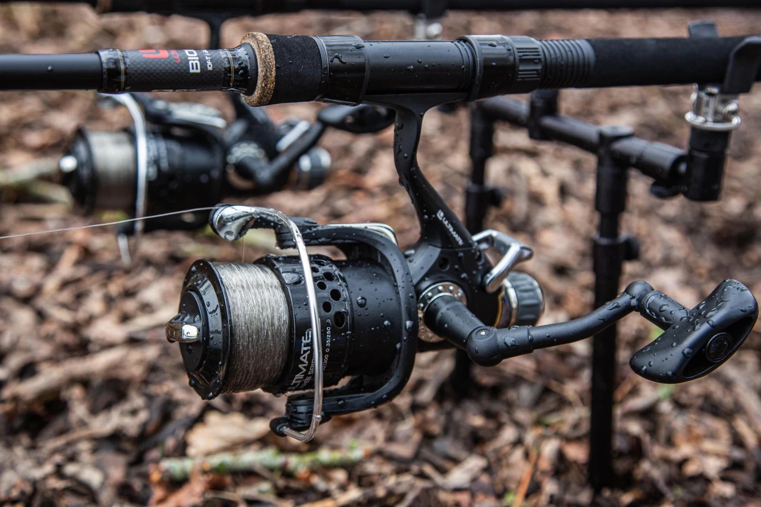 Ultimate Free Spirit 5000 1 Ultimate Free Spirit 5000