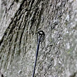 Ashima FFX-D 12ft 3 Halen = 2 Betalen