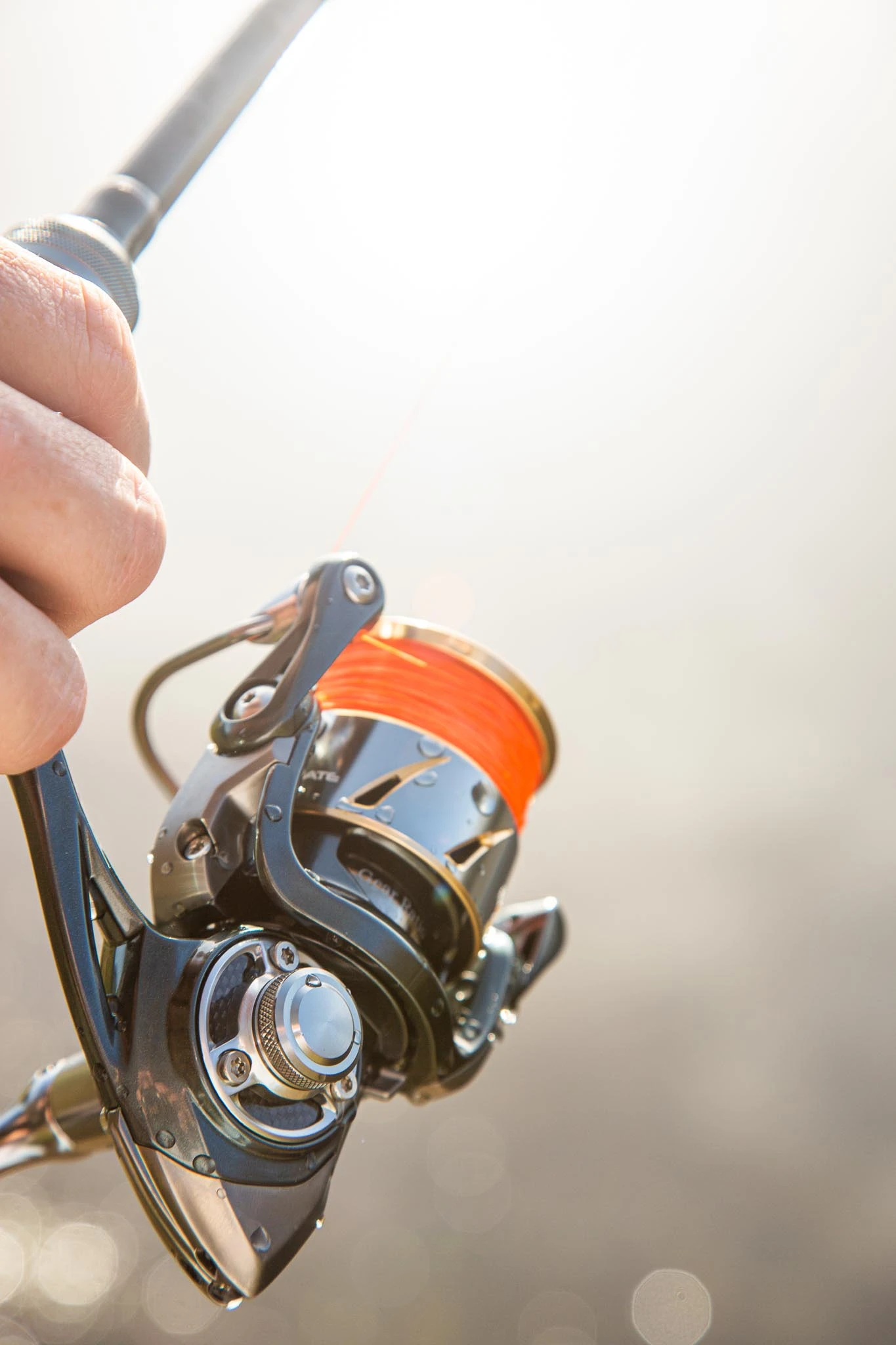 Ultimate Aurum 1000 1 Ultimate Aurum 1000